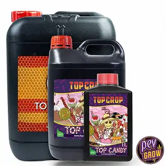 Top Candy Top Crop –...