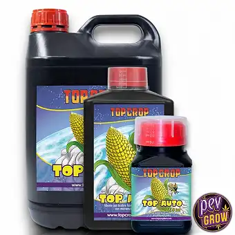 Top Auto Top Crop –...