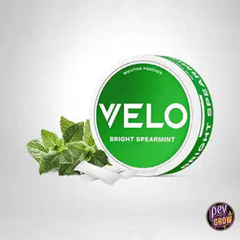 VELO Spiffy Spearmint 6MG –...