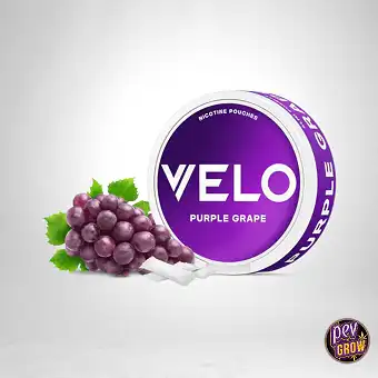 VELO Nicotines Pouches -...