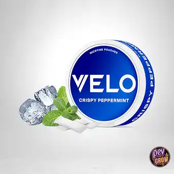 VELO Crispy Peppermint 10...