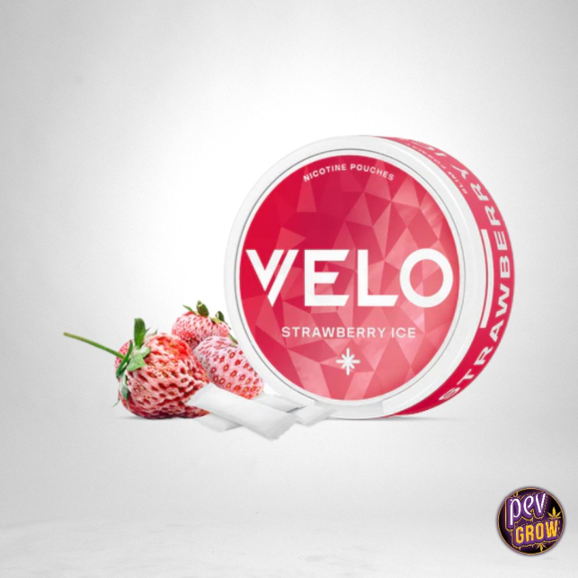 Buy VELO Strawberry Ice 6MG: Fresh Nicotine Pouches Online