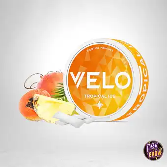 VELO Tropical Ice 10MG -...