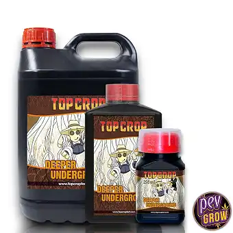 Deeper Underground Top Crop...