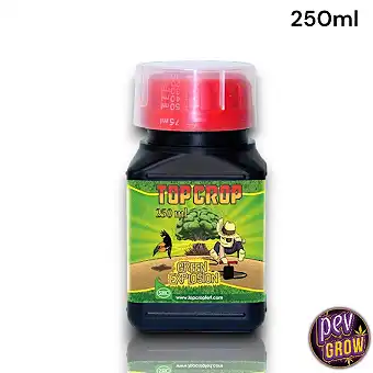 Green Explosion Top Crop –...