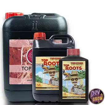 Top Roots – Stymulátor...