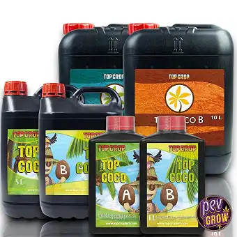 Top Coco A+B – Top Crop...