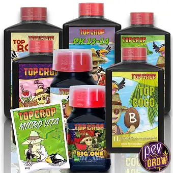 Top Coco Startpaket – Top...