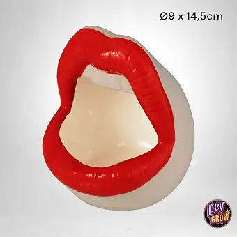 Red Lips Anti-Smoke Ashtray