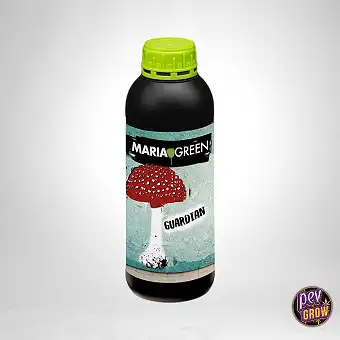 Guardian Maria Green –...