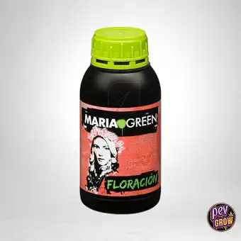 Maria Green Bloom – 100%...