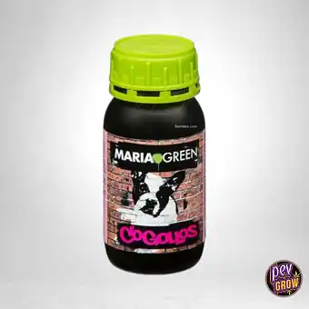 Maria Green Buds –...