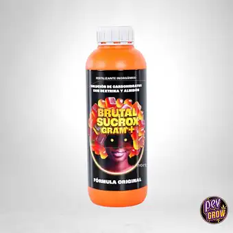 Brutal Sucrox Gram + –...