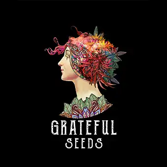 Honey Pam Grateful Seeds –...
