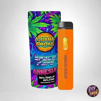 Disposable Pod THC-P -...