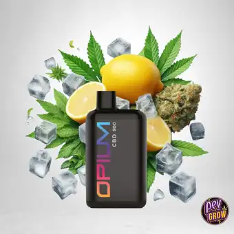 Jednorazowy Vape Pen CBD...