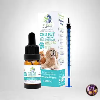 Óleo de CBD para Animais de...