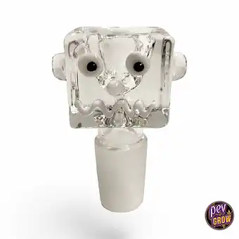 Banger Jaxx USA Squed