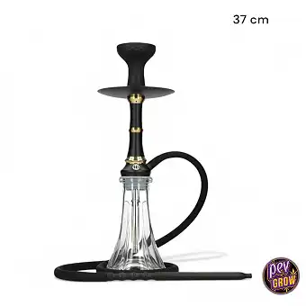Shisha MS Camelia Jr...