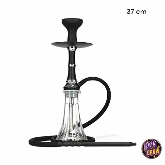 Shisha MS Camelia Jr...