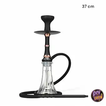 Shisha MS Camelia Jr...
