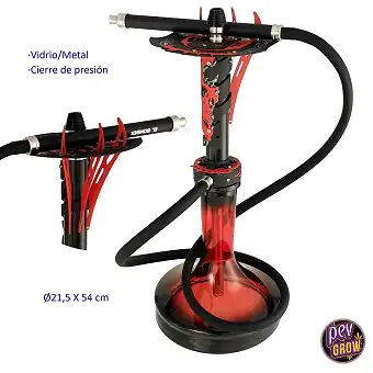 Cachimba Exipcia de...
