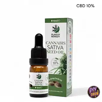 CBD olja 10 % med olivolja...