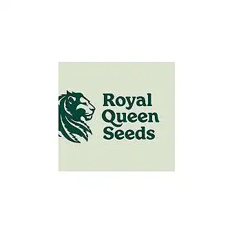 Promo 1 graine Royal Queen