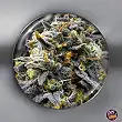 Medical Donuts Fem - Medical Seeds