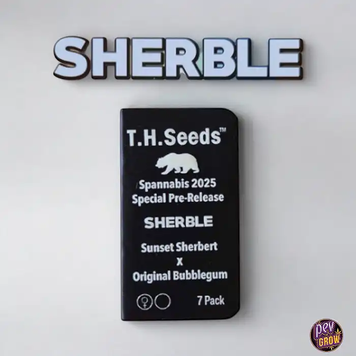 Sherble - Sunset Sherbert X Original Bubblegum feminizada T.H. Seeds