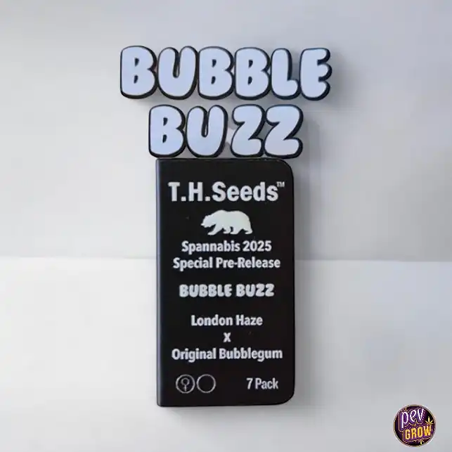 Bubblebuzz - London Haze X Original Bubblegum Feminized T.H. Seeds Bubblebuzz - London Haze X Original Bubblegum Feminized T.H. Seeds