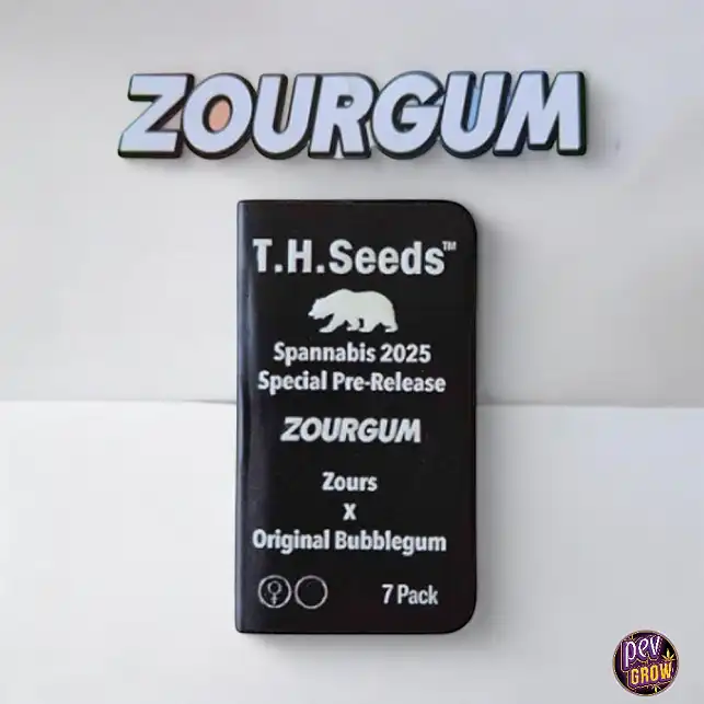 Zourgum - Zours X Original Bubblegum feminizada T.H. Seeds Zourgum - Zours X Original Bubblegum feminizada T.H. Seeds