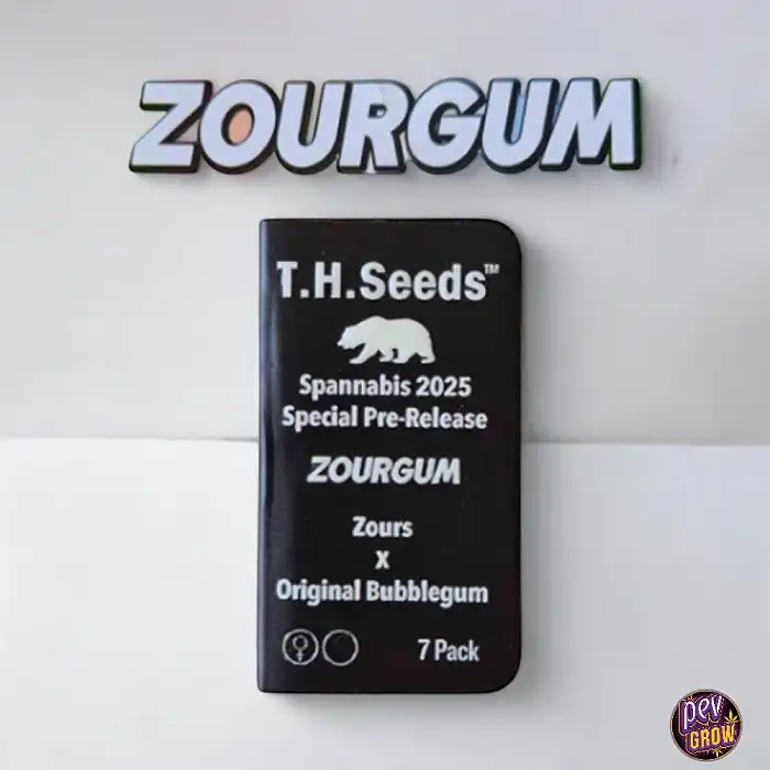 Zourgum - Zours X Original Bubblegum feminizada T.H. Seeds
