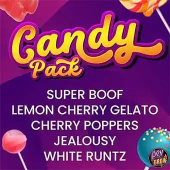 Candy Pack Barney's...