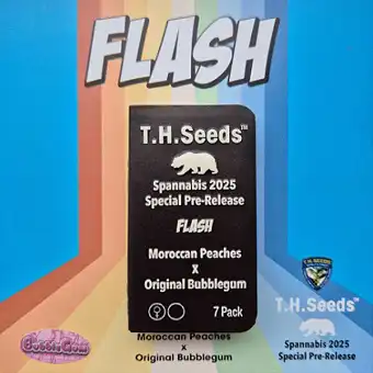 Flash - Moroccan Peaches X...