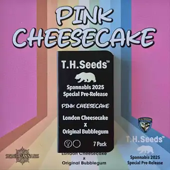 Pink Cheesecake feminizētas...