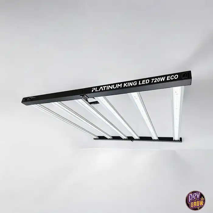 Led Platinum Eco King Led 720 w Driver Integrato