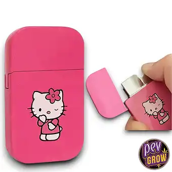 Briquet Hello Kitty...