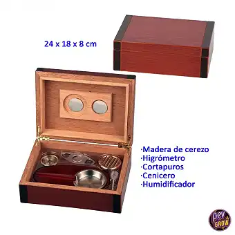 Humidor in ciliegio con...