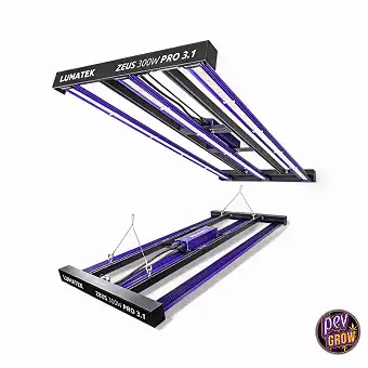 Lumatek Zeus 300W 3.1 LED –...
