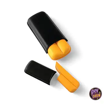 Elegant Brown & Yellow...