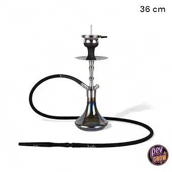 Chicha ALADIN MVP360 en...