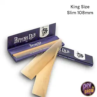 Papier Poppins Lab Brown...
