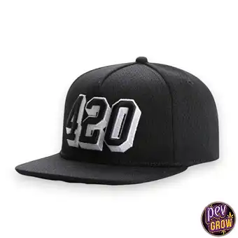 Casquette Noir Brodée 420