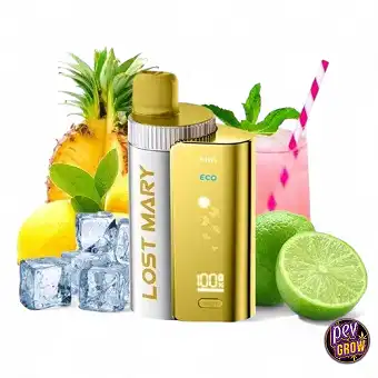 Kit Puff rechargeable Lost...