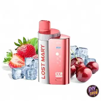 Kit Puff rechargeable Lost...