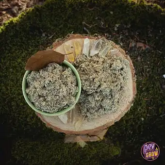 Iarbă Ceremonială Imphepho...