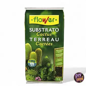 Substrato Flower per Cactus...