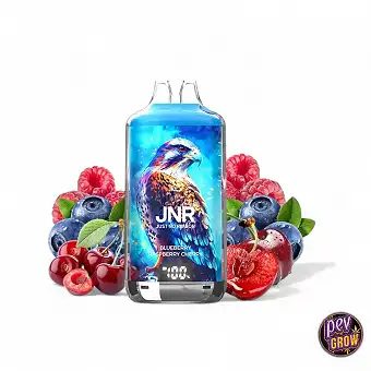 Puff 28K JNR Falcon-X / Pod...