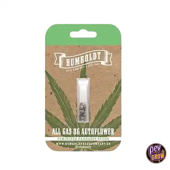 Auto All Gas OG Humboldt Seeds